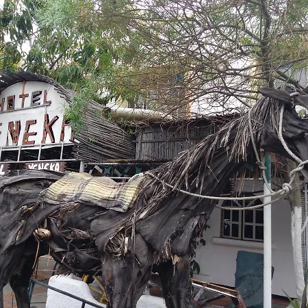 Hotel-Museo Yeneka-2